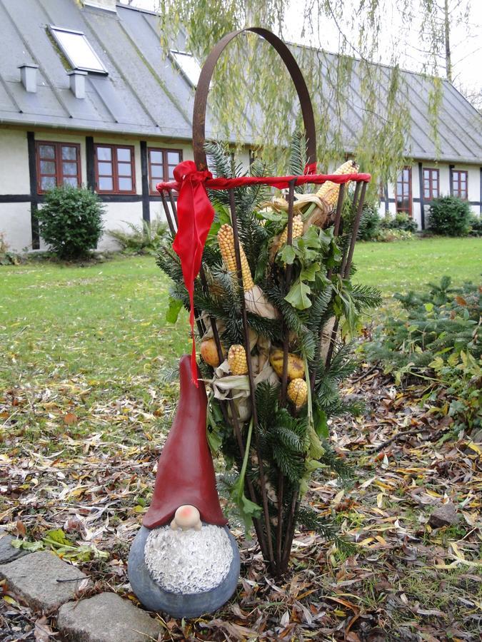 Dyssegaard B&B Skallerup 외부 사진