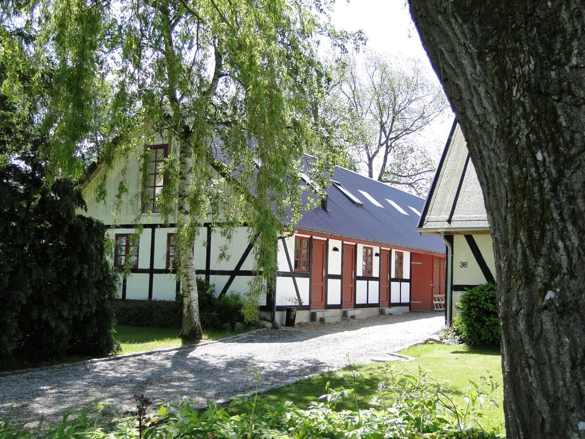 Dyssegaard B&B Skallerup 외부 사진